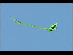 Sat 30 May 2009 18:26:38 D30_1780.JPG 