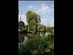 Sat 13 Jun 2009 15:03:09 IMG_2186.JPG 