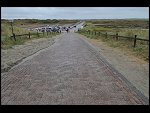 Sun 12 Jul 2009 12:54:08 D30_4125.JPG 