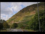 Sat 05 Sep 2009 13:24:36 D30_6189.JPG 