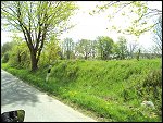 Sun 25 Apr 2010 10:40:56 DSC00206.JPG 