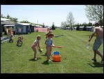 Sat 22 May 2010 12:47:03 IMG00219.JPG 