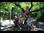 Sun 23 May 2010 11:28:26 IMG00274.JPG 