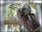 Sun 23 May 2010 13:02:14 PSS2IS_0116.JPG 