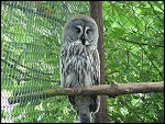 Sun 23 May 2010 13:03:35 PSS2IS_0119.JPG 