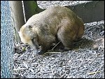 Sun 23 May 2010 13:08:50 PSS2IS_0124.JPG 