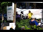 Thu 03 Jun 2010 17:38:30 100_3658.JPG 