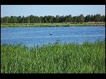 Thu 03 Jun 2010 18:22:52 100_3675.JPG 