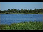 Thu 03 Jun 2010 18:23:10 100_3676.JPG 