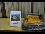 Sat 10 Jul 2010 16:31:14 D3S_6012.JPG 