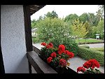 Thu 02 Sep 2010 19:30:02 D3S_8513.JPG 