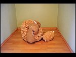 Thu 02 Sep 2010 19:35:24 D3S_8521.JPG 
