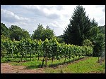Fri 03 Sep 2010 13:52:08 D3S_8623.JPG 