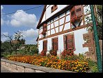 Sat 04 Sep 2010 12:32:52 D3S_8706.JPG 