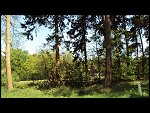 Mon 25 Apr 2011 11:36:57 DSC00458.JPG 