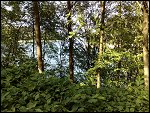 Fri 03 Jun 2011 17:01:56 03062011365.JPG 