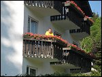 Fri 03 Jun 2011 17:55:12 LSMIT00021.JPG 