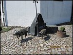 Sat 04 Jun 2011 11:23:20 IMG_0102.JPG 
