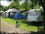 Sun 12 Jun 2011 10:22:23 IMG_0239.JPG 
