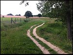 Sun 12 Jun 2011 16:54:03 IMG_2100.JPG 