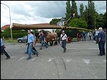 Sat 11 Jun 2011 14:58:52 P1010749.JPG 