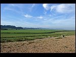 Fri 02 Sep 2011 17:06:48 D3S_1820.JPG 