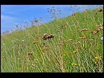 Fri 02 Sep 2011 17:16:56 D3S_1836.JPG 