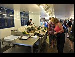 Sat 03 Sep 2011 12:00:02 D3S_1858.JPG 