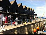 Sat 03 Sep 2011 12:06:55 IMG_3445.JPG 
