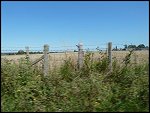 Thu 01 Sep 2011 13:28:28 P1000939.JPG 