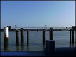 Thu 01 Sep 2011 16:25:39 BILD3193.JPG 