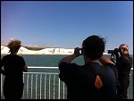 Thu 01 Sep 2011 12:03:24 IMG_3278.JPG 