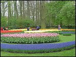 Sat 24 Apr 1999 16:02:18 MVC-838F.JPG 