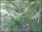 Wed 04 Aug 1999 15:22:46 MVC-767F.JPG 