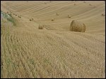 Fri 13 Aug 1999 16:28:44 MVC-200X.JPG 