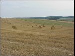 Fri 13 Aug 1999 16:29:10 MVC-201X.JPG 