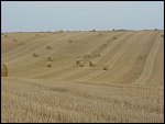 Fri 13 Aug 1999 16:29:50 MVC-203X.JPG 