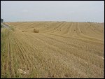 Fri 13 Aug 1999 16:30:30 MVC-204X.JPG 