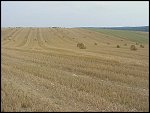 Fri 13 Aug 1999 16:30:38 MVC-205X.JPG 