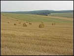 Fri 13 Aug 1999 16:30:48 MVC-206X.JPG 