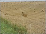 Fri 13 Aug 1999 16:31:04 MVC-207X.JPG 