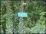 Fri 13 Aug 1999 16:57:40 MVC-213F.JPG 