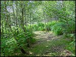 Mon 07 Aug 2000 10:34:46 DSC01455.JPG 