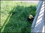 Fri 11 Aug 2000 15:17:00 DSC01674.JPG 